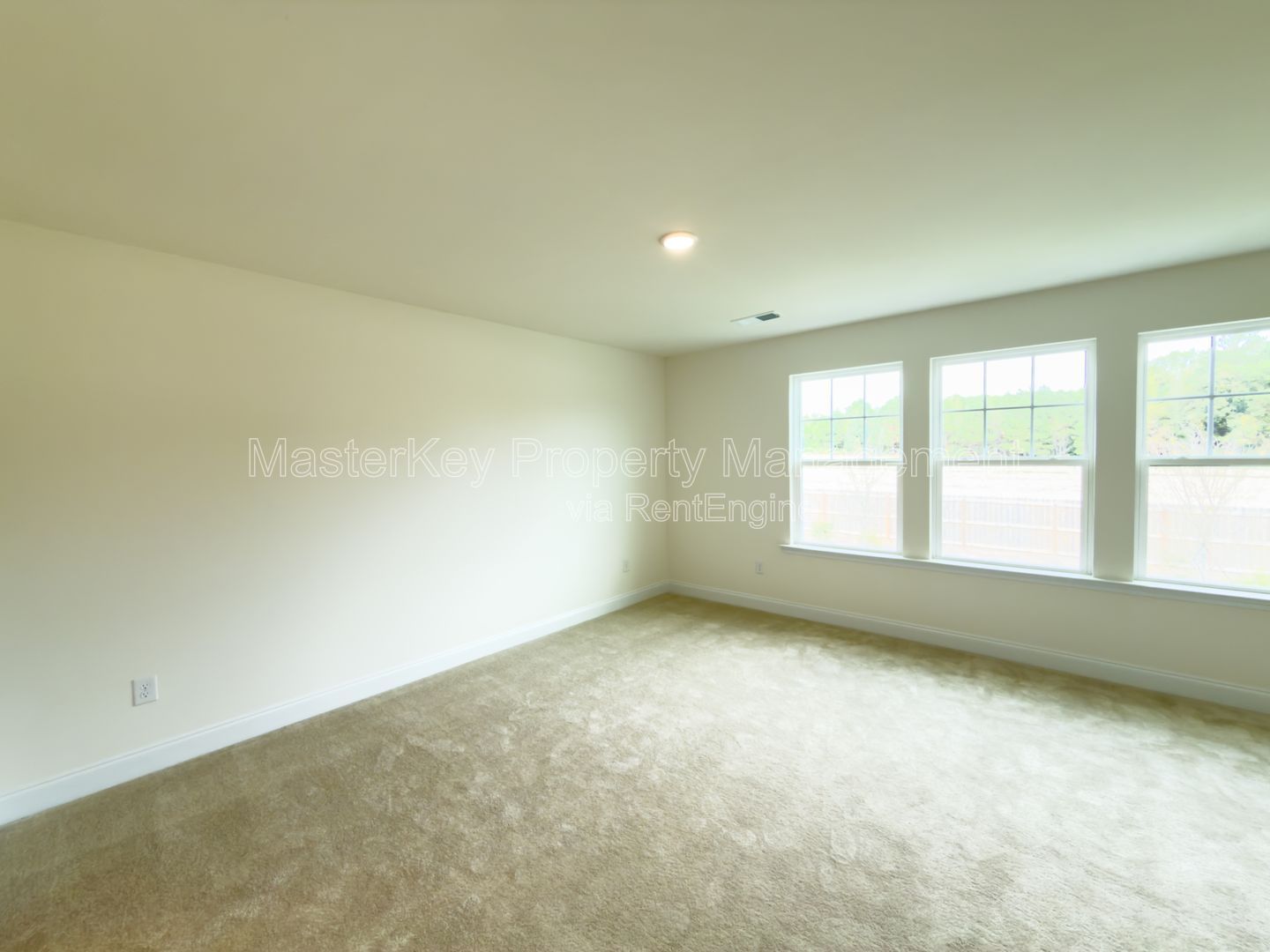 BRAND NEW Construction 3 Bedroom Townhouse in Angier! property image