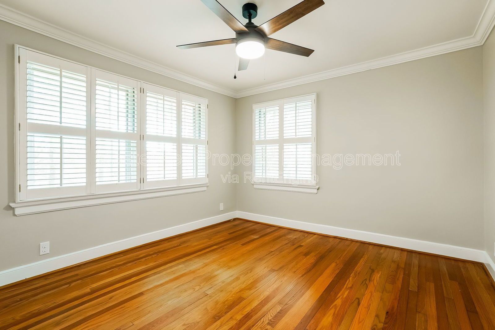 Timeless Executive Home in One of Raleigh’s Most Iconic Neighborhoods! property image