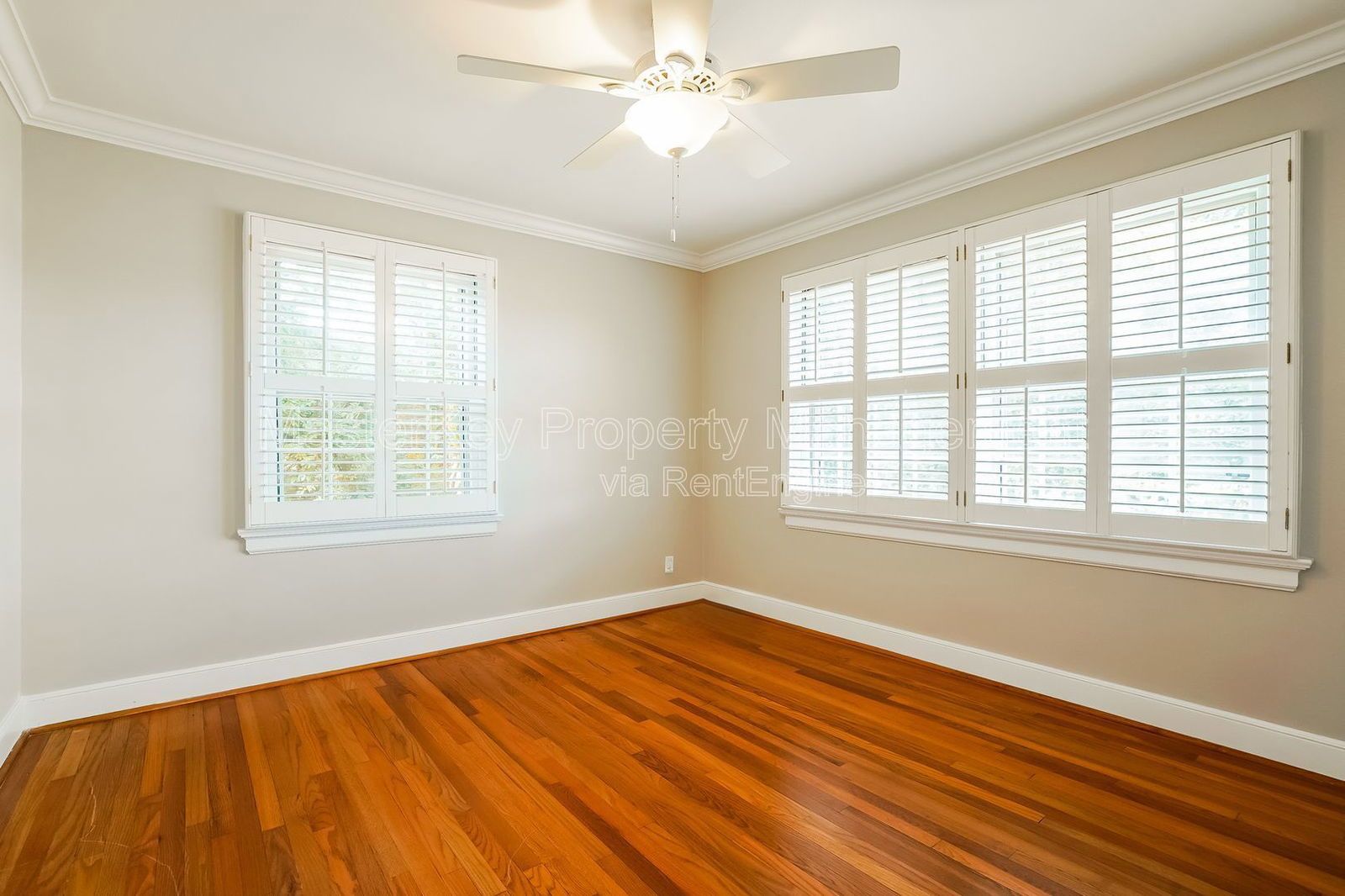 Timeless Executive Home in One of Raleigh’s Most Iconic Neighborhoods! property image